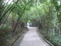 2009 China 1324